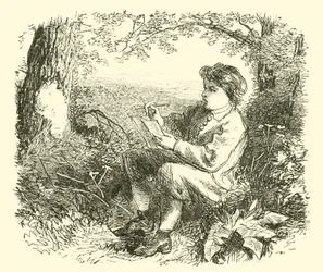 David Wilkie, der Junge, studiert die Natur